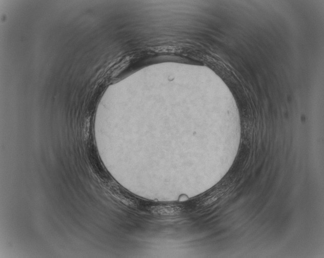 X0000062890652200602101742