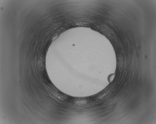 X0000062890653200602101742