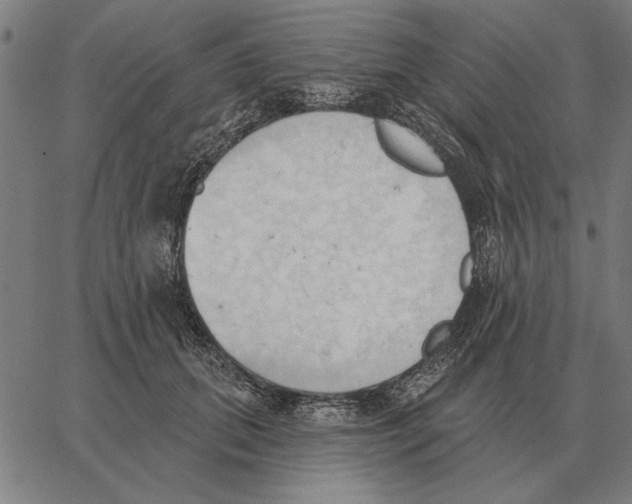 X0000062890655200602101742