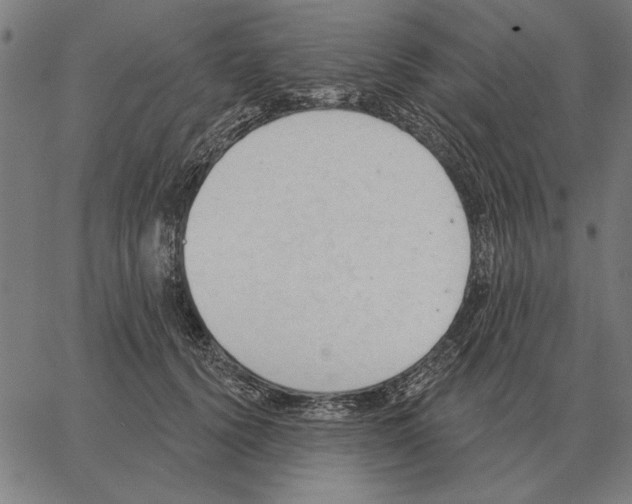 X0000062890656200602101742