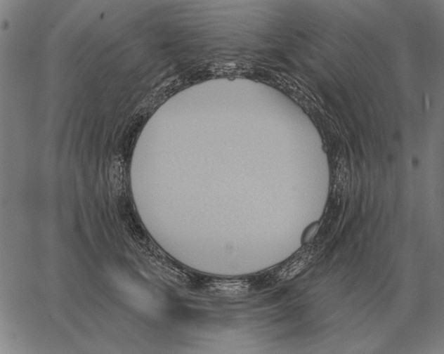 X0000062890659200602101742