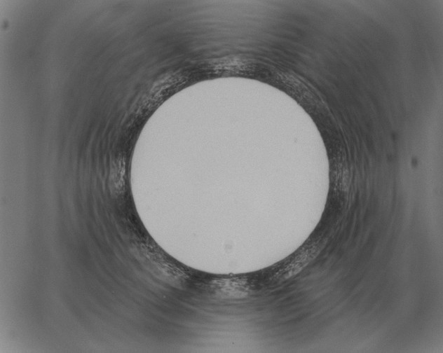 X0000062890660200602101742