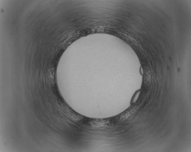 X0000062890661200602101742