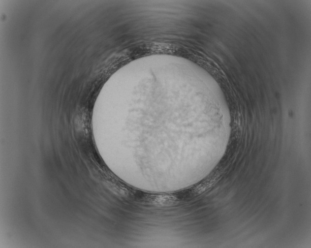 X0000062890663200602101742