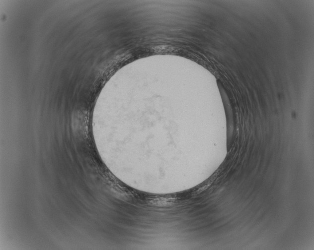 X0000062890664200602101742