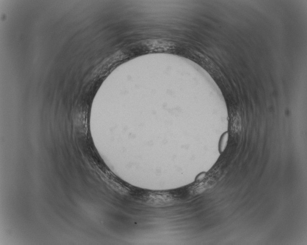 X0000062890666200602101743