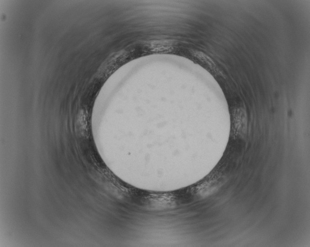 X0000062890667200602101743