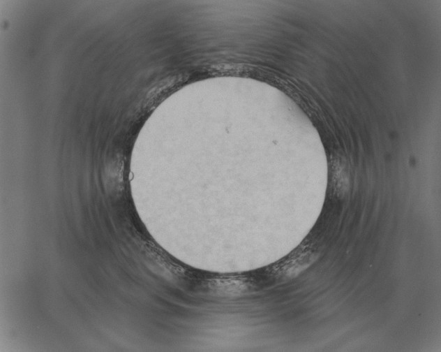 X0000062890668200602101743