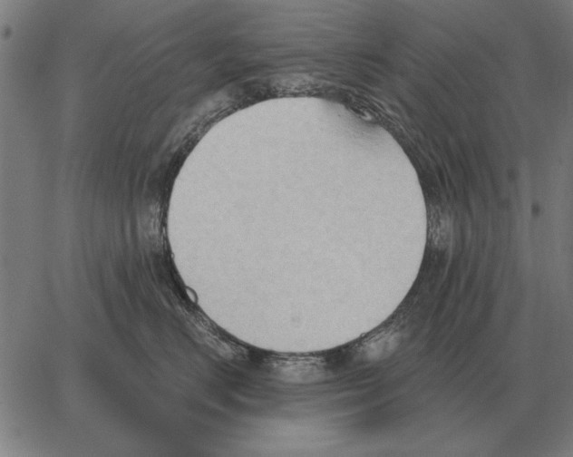 X0000062890670200602101743