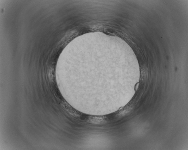 X0000062890671200602101743