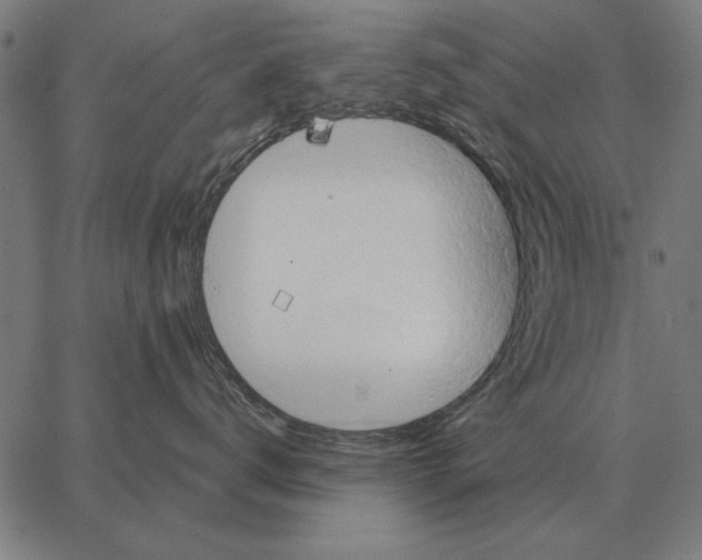 X0000062890672200602101743