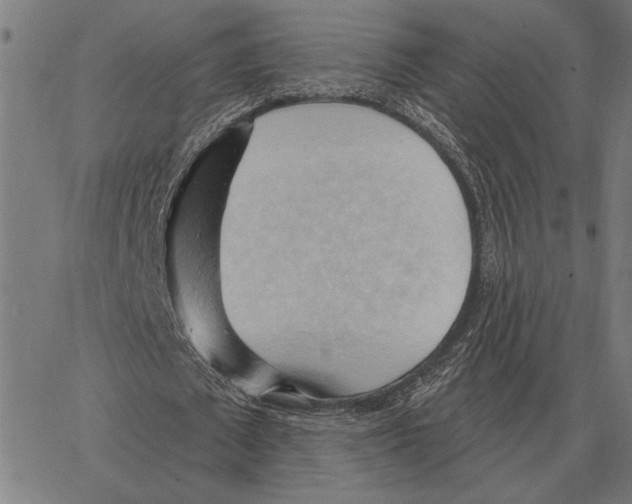 X0000062890673200602101742