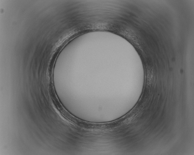 X0000062890674200602101742