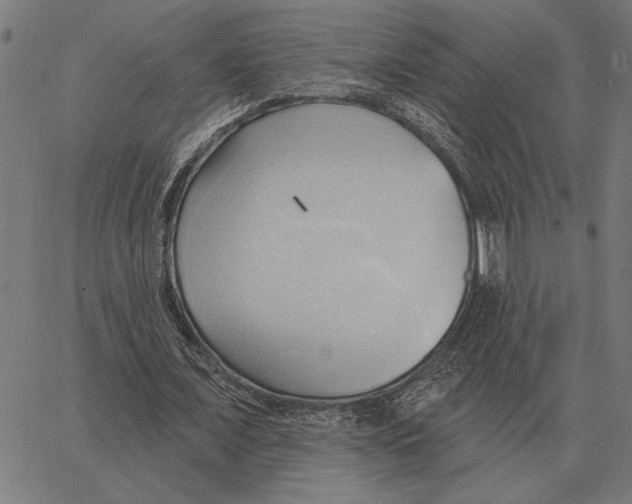 X0000062890675200602101742