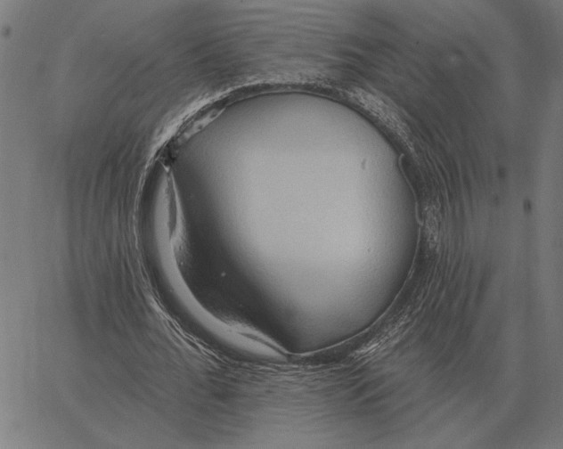 X0000062890676200602101742