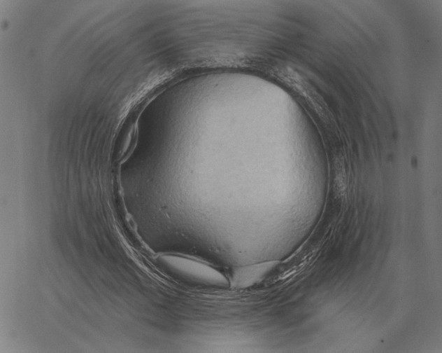 X0000062890677200602101742