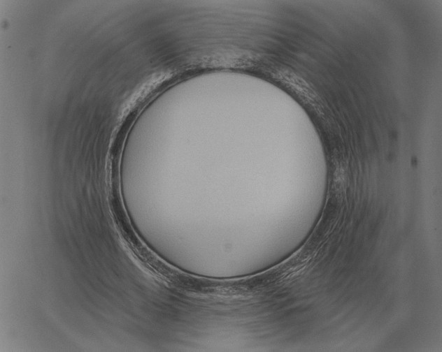 X0000062890678200602101742