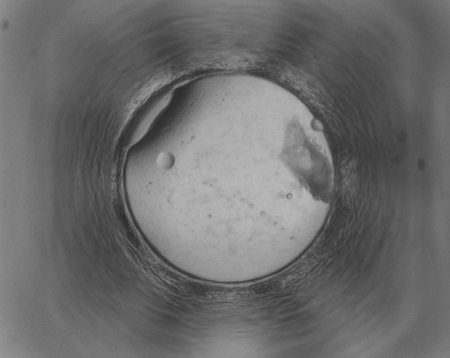 X0000062890679200602101742