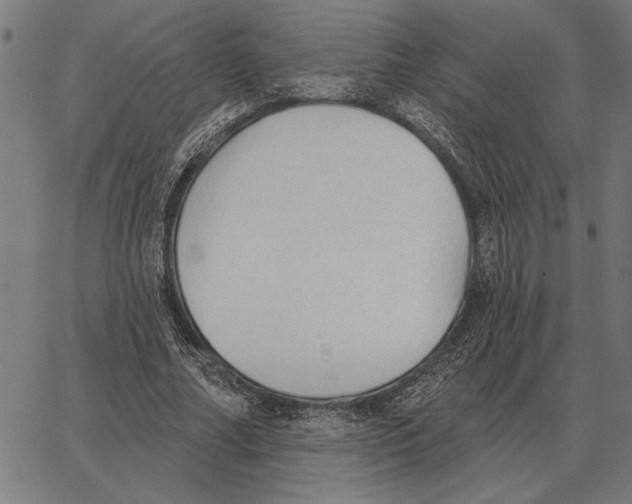 X0000062890682200602101742