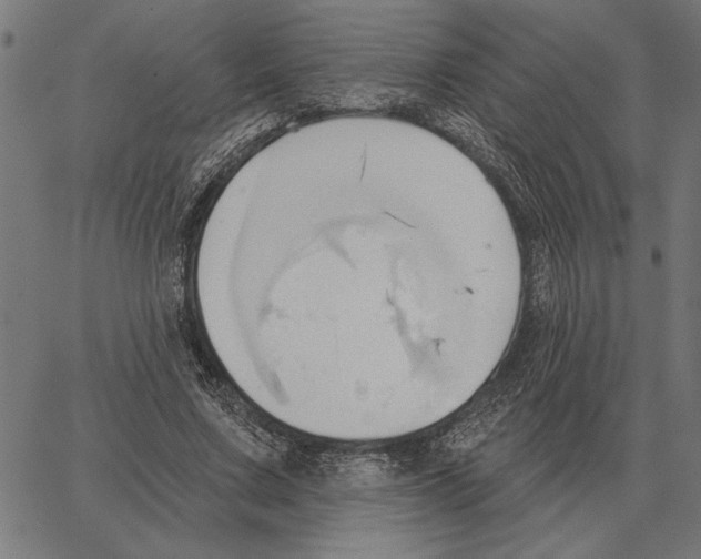 X0000062890683200602101742