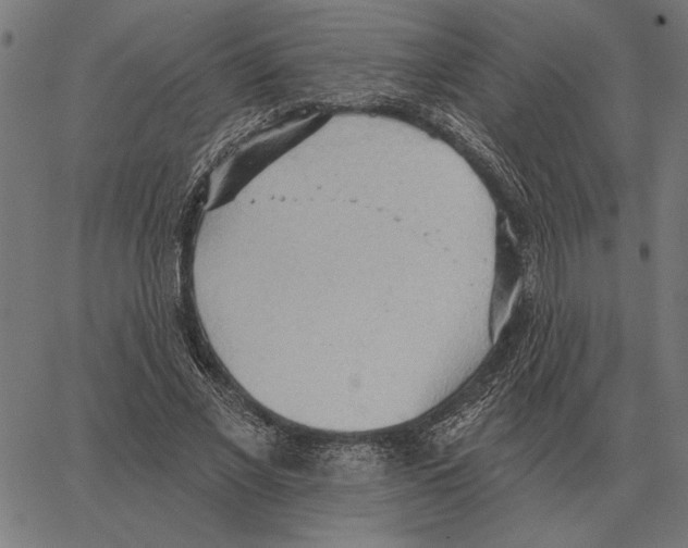 X0000062890685200602101742