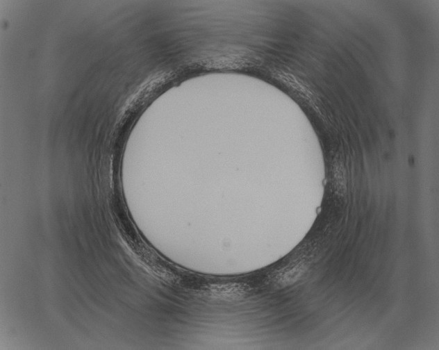 X0000062890686200602101742