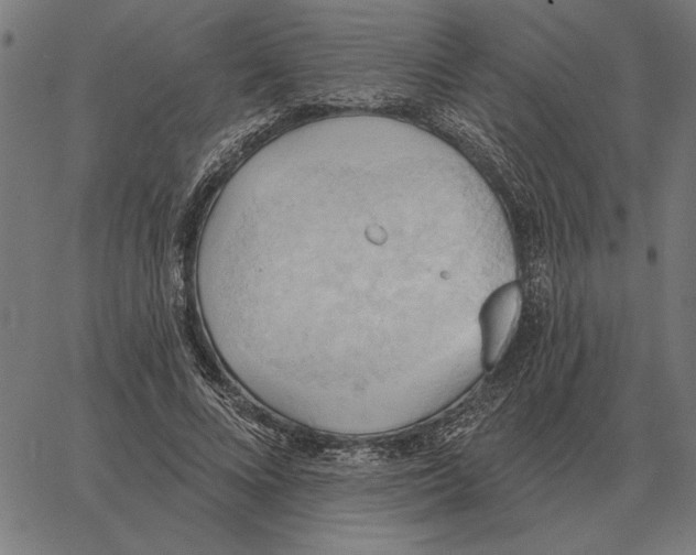 X0000062890688200602101742