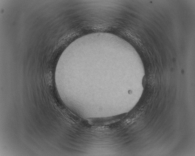 X0000062890689200602101742