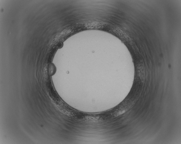 X0000062890690200602101742