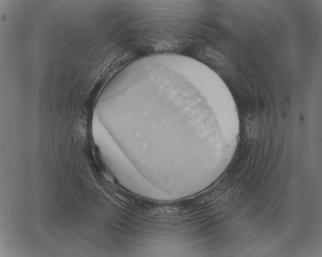 X0000062890691200602101742