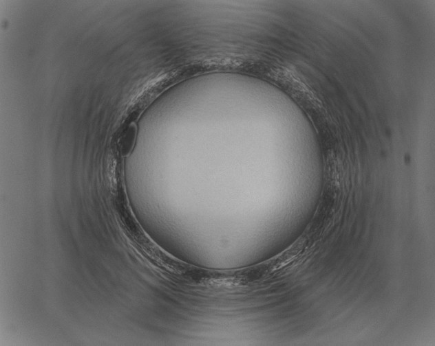 X0000062890692200602101742