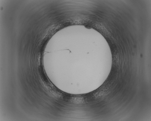 X0000062890694200602101742