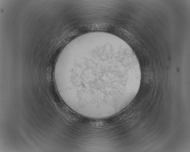 X0000062890695200602101741