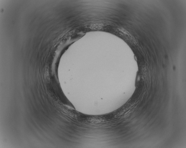 X0000062890697200602101741