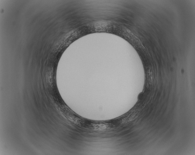 X0000062890698200602101741