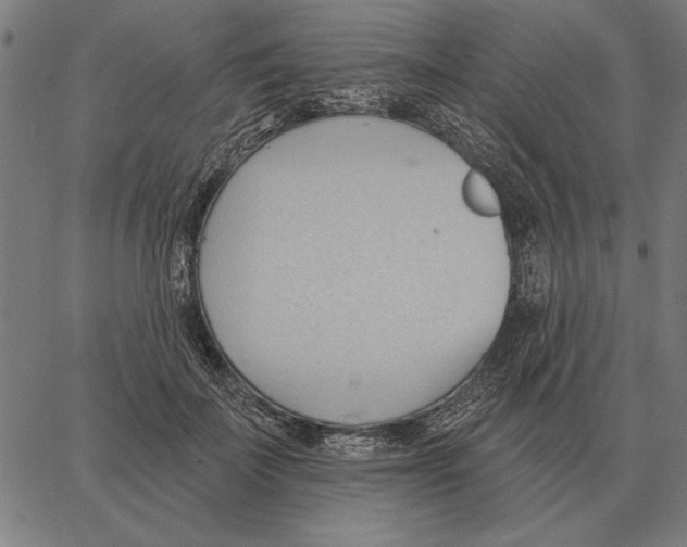 X0000062890699200602101741