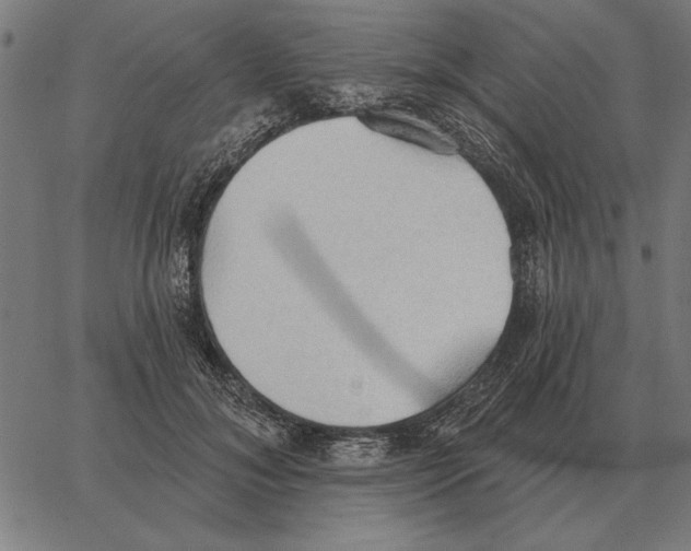 X0000062890700200602101741