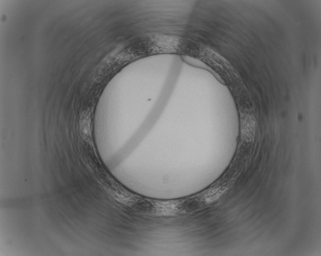 X0000062890701200602101741