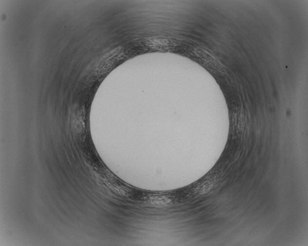 X0000062890702200602101741