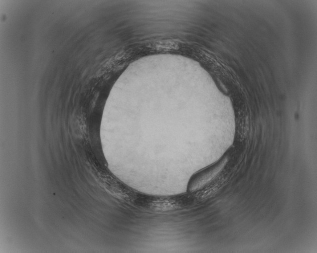 X0000062890704200602101741