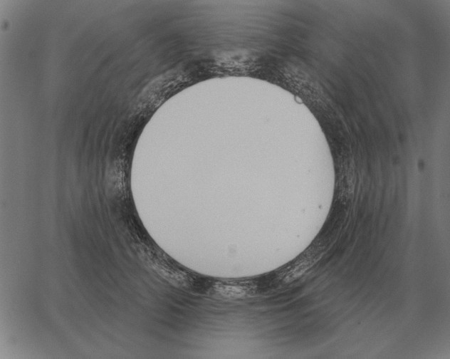 X0000062890706200602101741