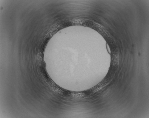 X0000062890707200602101741