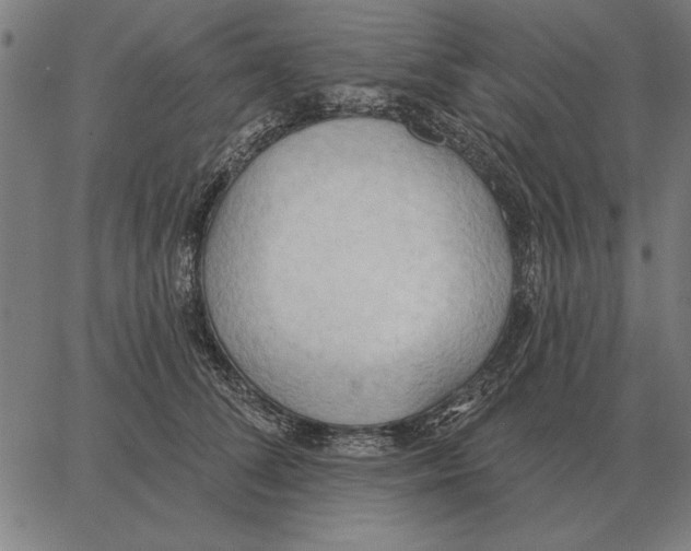 X0000062890708200602101741