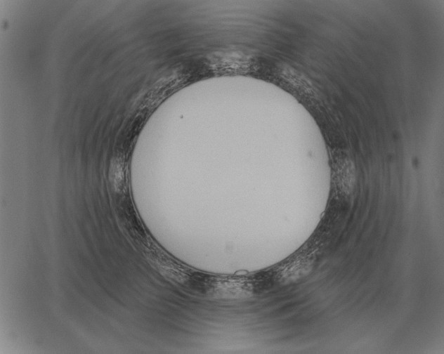 X0000062890709200602101741