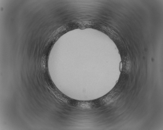 X0000062890710200602101741