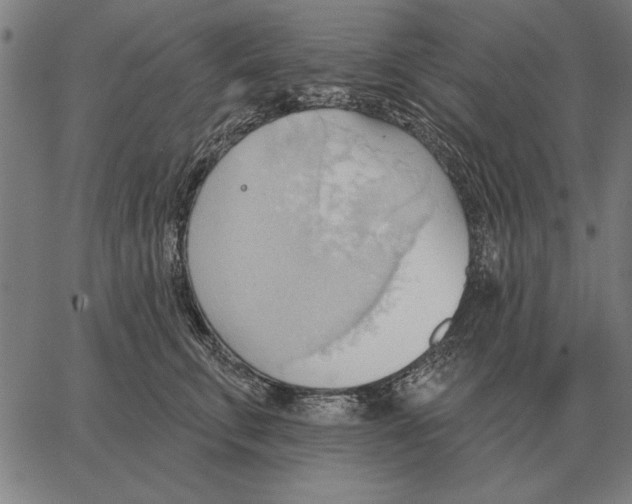 X0000062890711200602101741