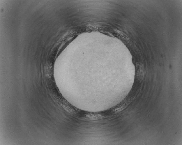 X0000062890712200602101741