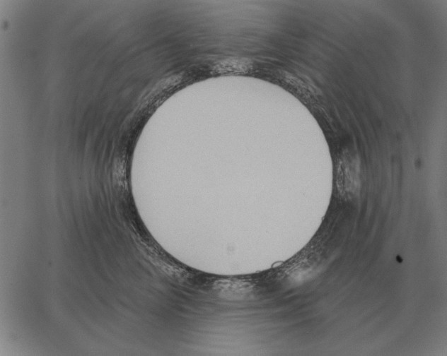 X0000062890714200602101741