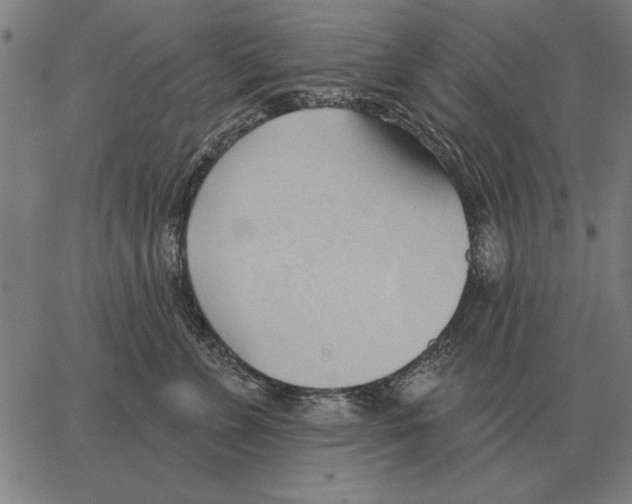 X0000062890715200602101741