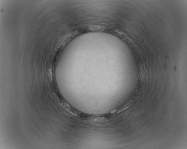 X0000062890716200602101741